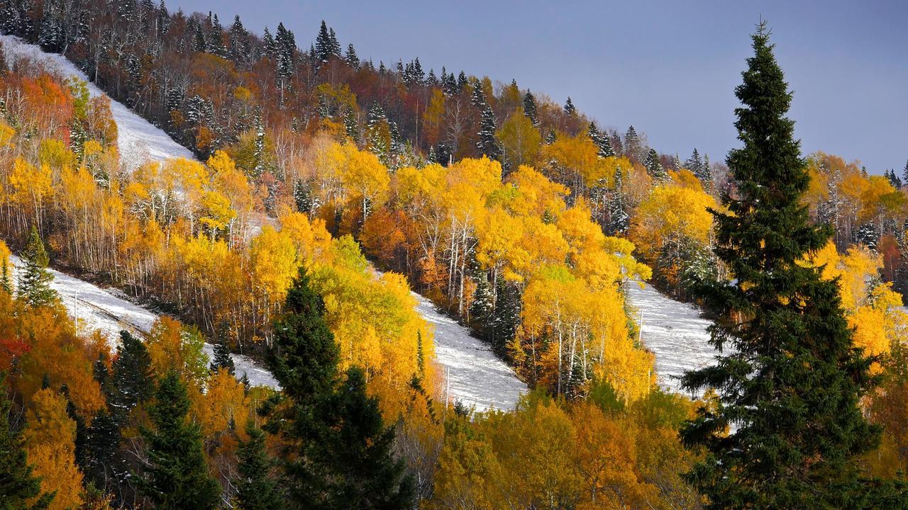 Les Bouleaux - Les Chalets Spa Canada 라말베 외부 사진